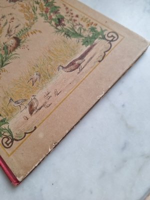 画像19: Les Oiseauxアンティーク小鳥図鑑