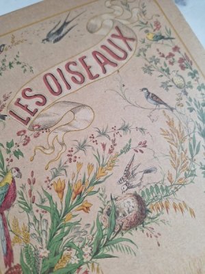 画像2: Les Oiseauxアンティーク小鳥図鑑