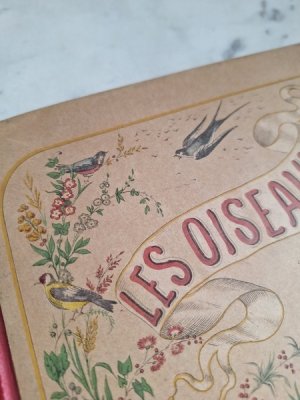 画像3: Les Oiseauxアンティーク小鳥図鑑