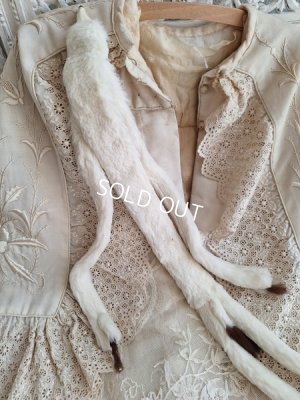 画像7: アニマルマフラー