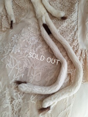 画像8: アニマルマフラー