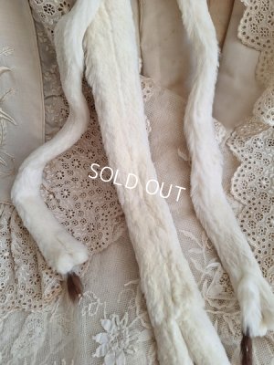 画像10: アニマルマフラー