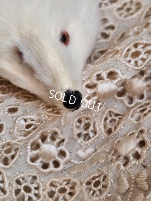 画像4: アニマルマフラー