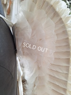 画像18: アンティークチャイルドエンジェルウィング