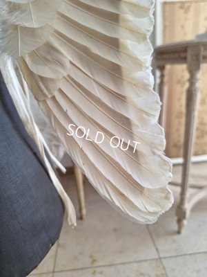 画像20: アンティークチャイルドエンジェルウィング