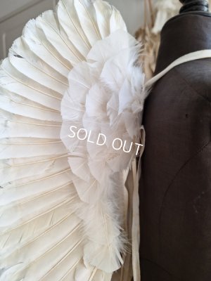 画像13: アンティークチャイルドエンジェルウィング