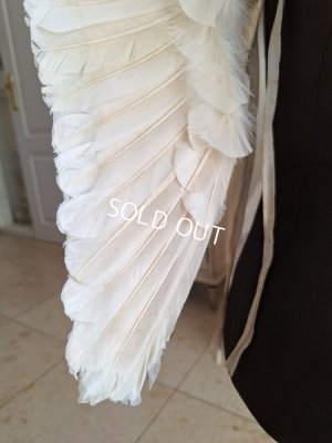 画像14: アンティークチャイルドエンジェルウィング