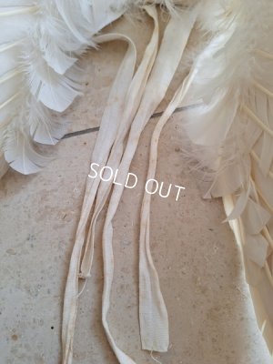 画像23: アンティークチャイルドエンジェルウィング