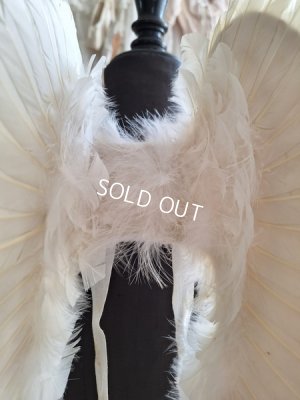 画像10: アンティークチャイルドエンジェルウィング