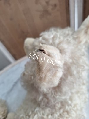 画像26: アンティークLou Louパジャマドッグ