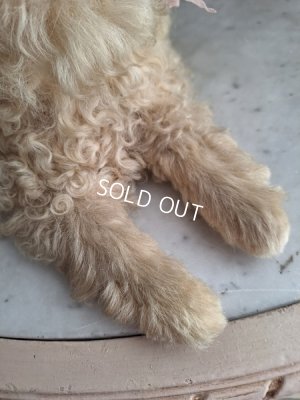 画像14: アンティークLou Louパジャマドッグ