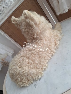 画像15: アンティークLou Louパジャマドッグ