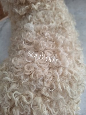 画像17: アンティークLou Louパジャマドッグ