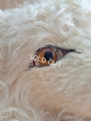 画像4: アンティークLou Louパジャマドッグ