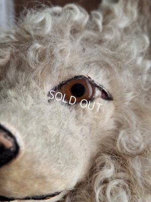 画像5: アンティークLou Louパジャマドッグ