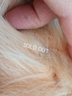 画像10: アンティークストール