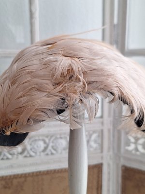 画像14: アンティークフェザーハット