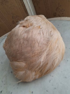 画像2: アンティークフェザーハット