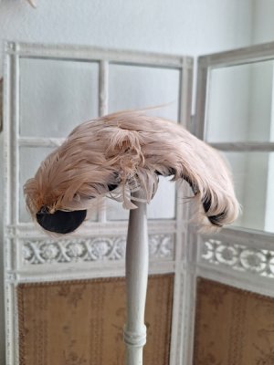 画像12: アンティークフェザーハット