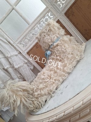 画像7: アンティークLou Louパジャマドッグ