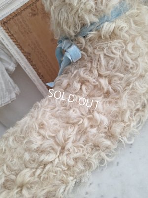 画像8: アンティークLou Louパジャマドッグ