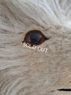 画像12: アンティークLou Louパジャマドッグ