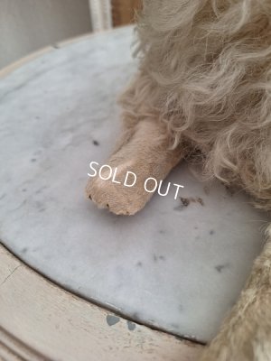 画像21: アンティークLou Louパジャマドッグ