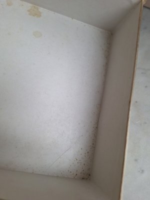 画像6: 花かご柄シルクボックス