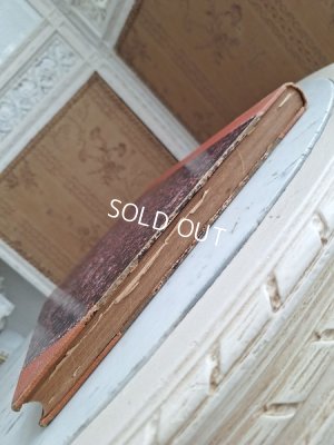 画像4: La mode Ilustreeモード本