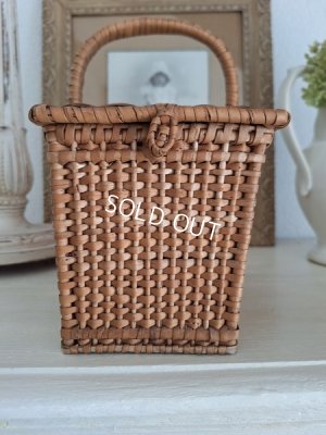 画像12: アンティチャイルドバスケット