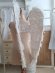 angelwings