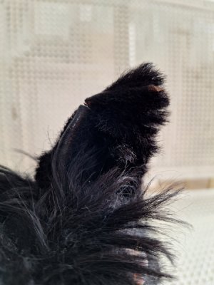 画像26: アンティークブラックパジャマドッグ