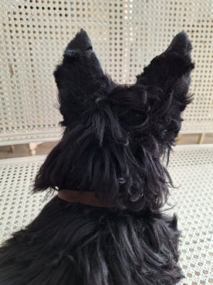 画像12: アンティークブラックパジャマドッグ