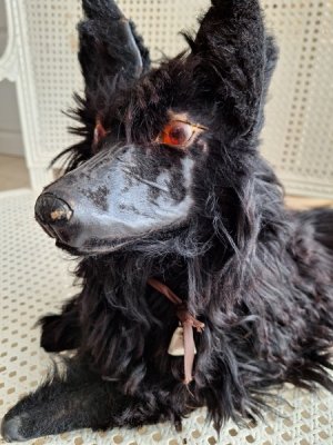 画像13: アンティークブラックパジャマドッグ