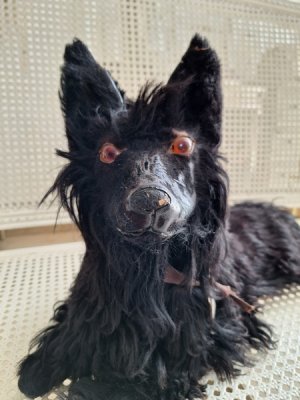 画像2: アンティークブラックパジャマドッグ