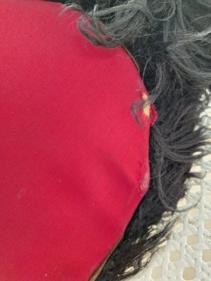 画像18: アンティークブラックパジャマドッグ