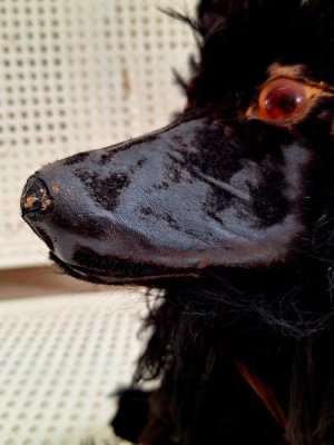 画像23: アンティークブラックパジャマドッグ