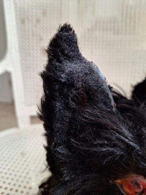 画像8: アンティークブラックパジャマドッグ