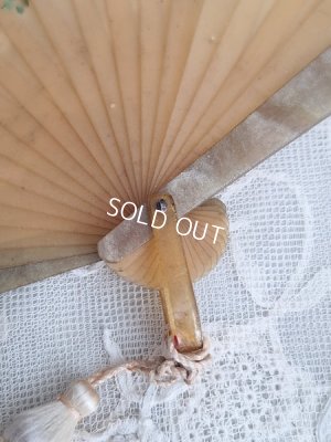 画像13: アンティークローズ手描きセルロイド扇子