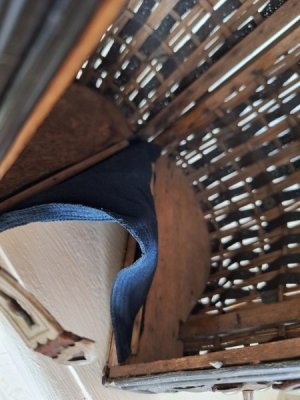 画像23: ナポレオン三世ダブルハンドルバスケット