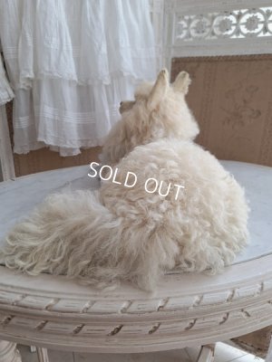 画像10: Lou Louパジャマドッグ