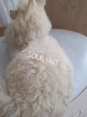 画像16: Lou Louパジャマドッグ