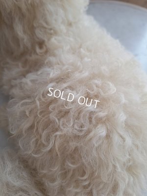 画像18: Lou Louパジャマドッグ