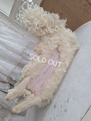 画像19: Lou Louパジャマドッグ