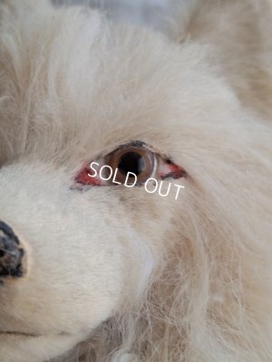 画像5: Lou Louパジャマドッグ