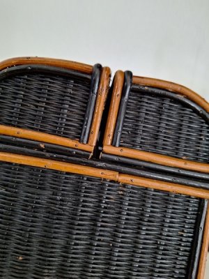 画像5: ナポレオン三世ダブルハンドバスケット