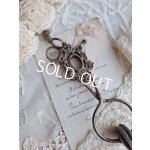 画像: ヴィクトリアンスカートリフター