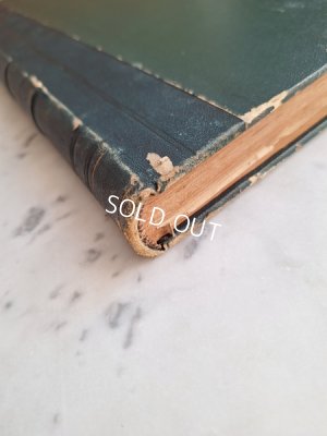 画像4: La mode Ilustreeモード本