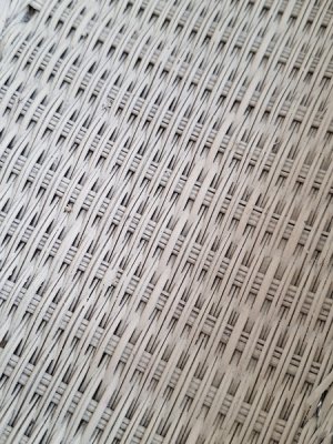 画像5: 白いバスケット