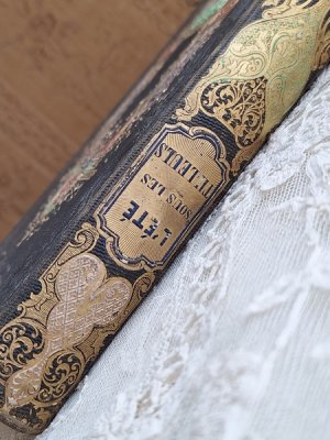 画像9: J.B.J.Champagnacアンティーク本